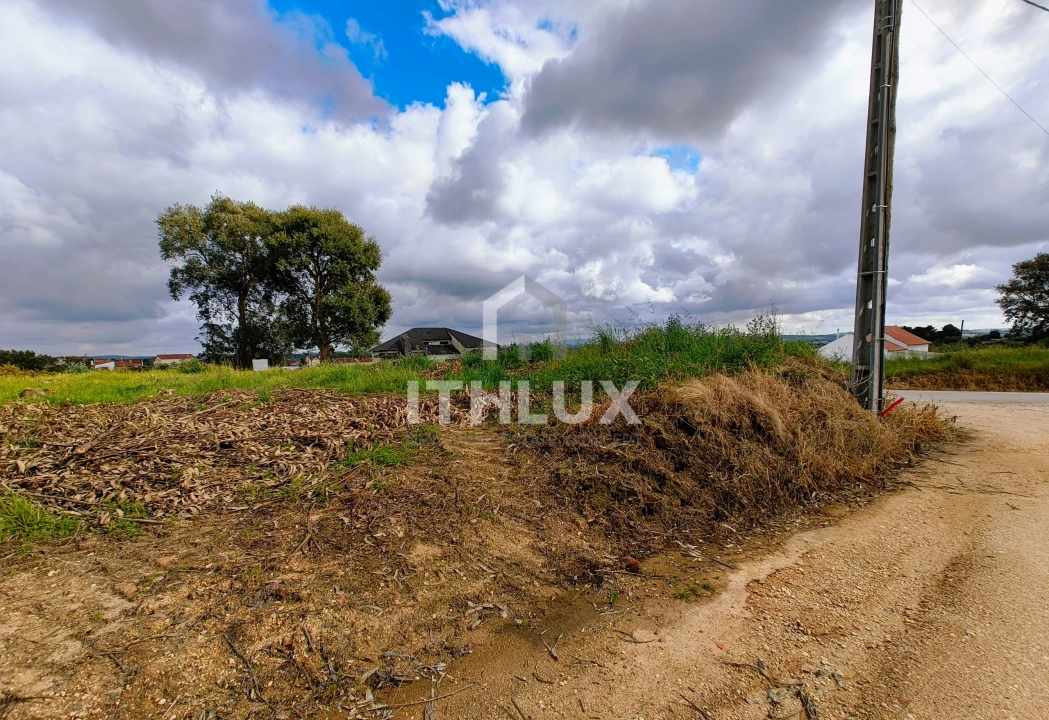 Terreno Agricola ou Rústico para Venda em Salir de Matos Foto 12
