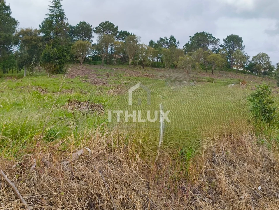 Terreno Agricola ou Rústico para Venda em Salir de Matos Foto 9