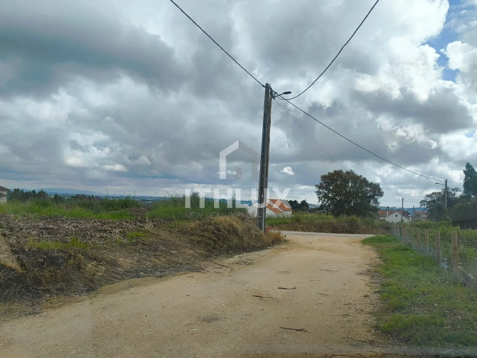 Terreno Agricola ou Rústico para Venda em Salir de Matos Foto 19