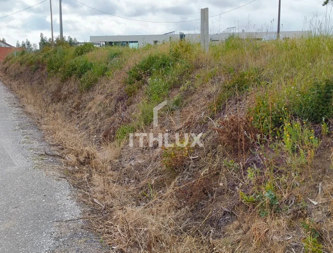 Terreno Agricola ou Rústico para Venda em Salir de Matos Foto 10