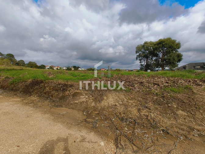 Terreno Agricola ou Rústico para Venda em Salir de Matos Foto 14