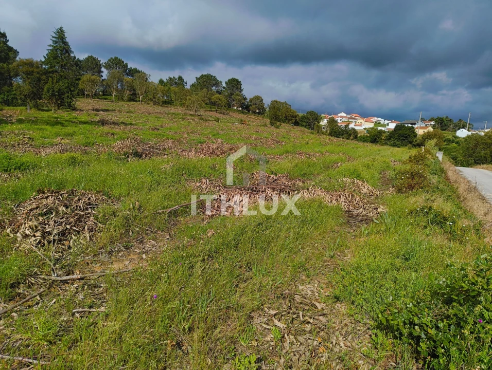 Terreno Agricola ou Rústico para Venda em Salir de Matos Foto 2