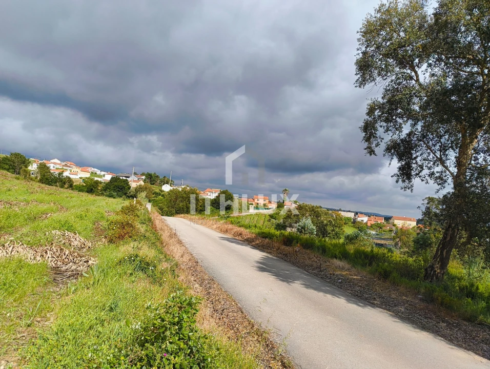 Terreno Agricola ou Rústico para Venda em Salir de Matos Foto 3