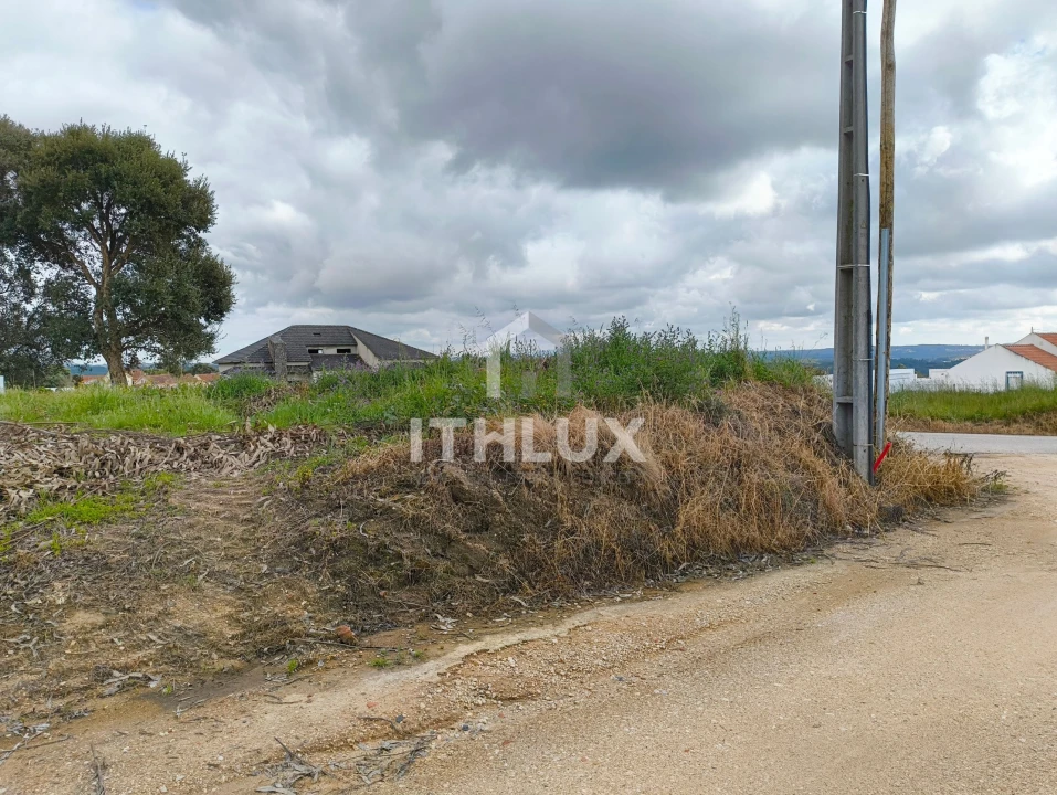 Terreno Agricola ou Rústico para Venda em Salir de Matos Foto 4