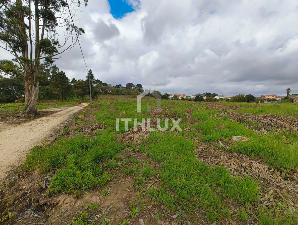 Terreno Agricola ou Rústico para Venda em Salir de Matos Foto 17