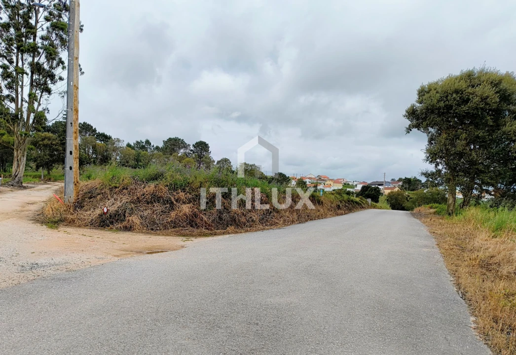 Terreno Agricola ou Rústico para Venda em Salir de Matos Foto 11