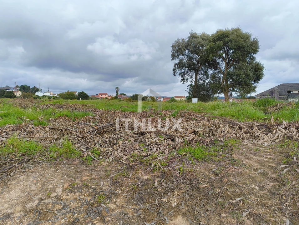 Terreno Agricola ou Rústico para Venda em Salir de Matos Foto 13