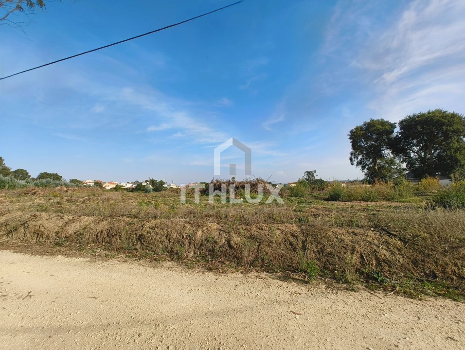 Terreno Agricola ou Rústico para Venda em Salir de Matos Foto 21