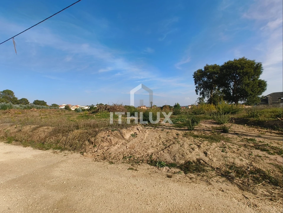 Terreno Agricola ou Rústico para Venda em Salir de Matos Foto 20