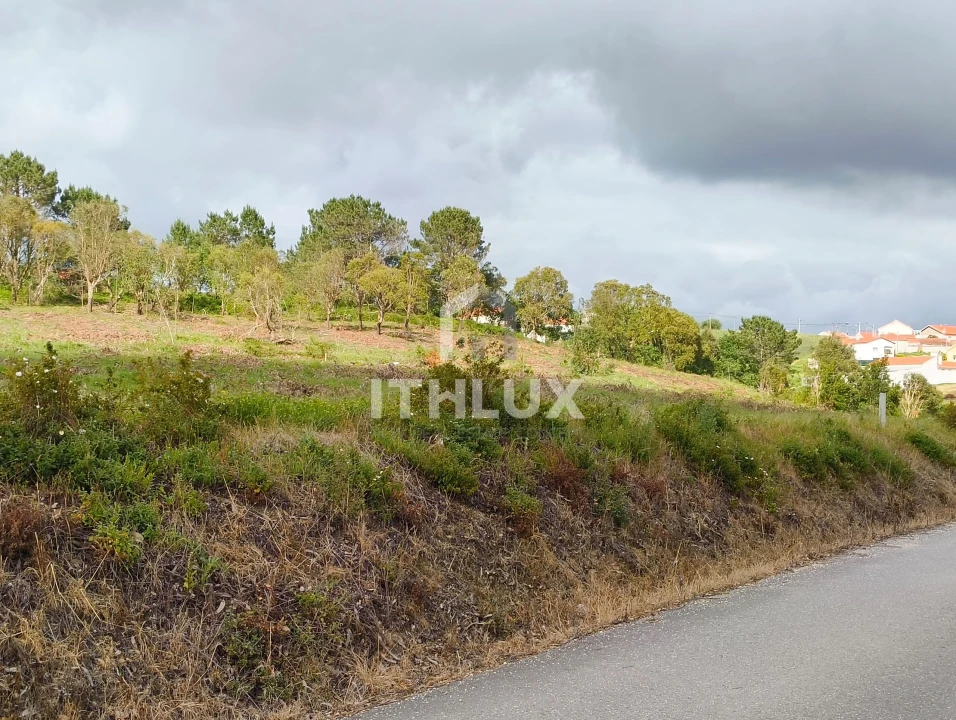 Terreno Agricola ou Rústico para Venda em Salir de Matos Foto 8