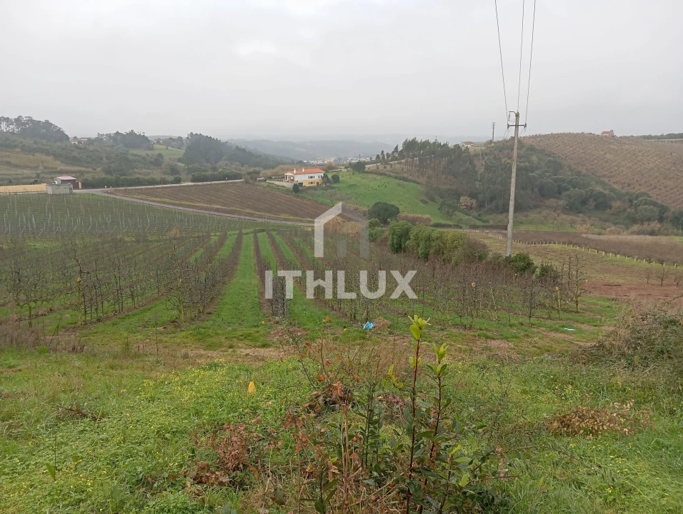Terreno Agricola ou Rústico para Venda em Carvalhal Benfeito Foto 1