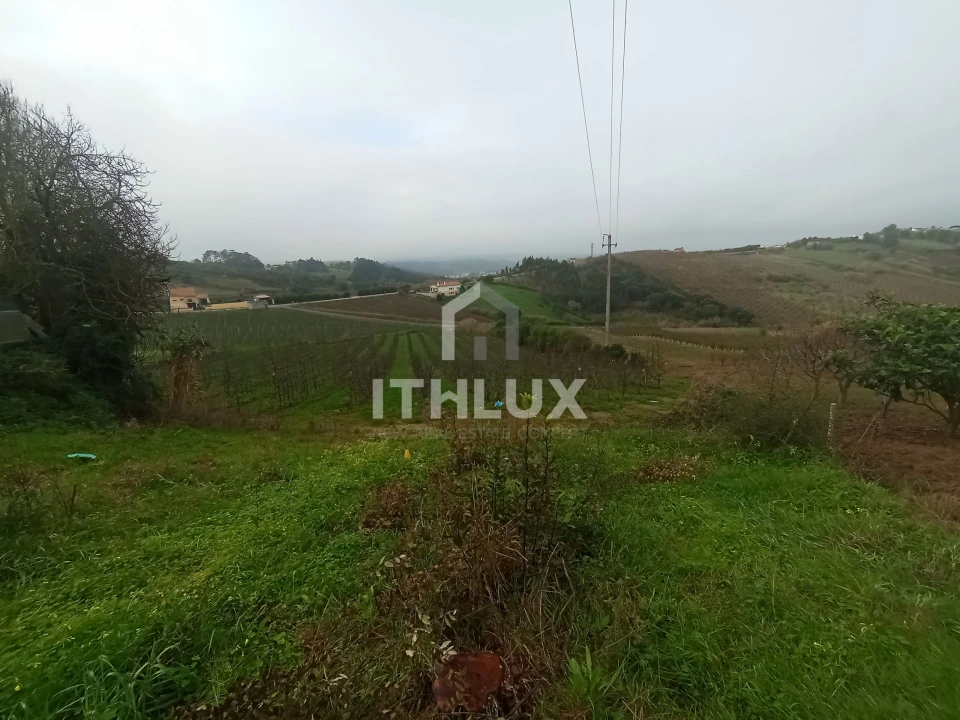 Terreno Agricola ou Rústico para Venda em Carvalhal Benfeito Foto 3