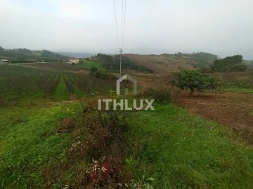 Terreno Agricola ou Rústico para Venda em Carvalhal Benfeito