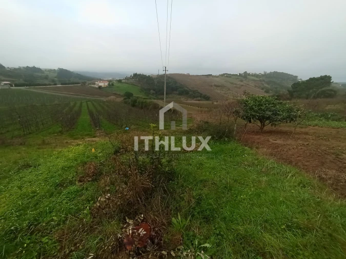 Terreno Agricola ou Rústico para Venda em Carvalhal Benfeito Foto 6