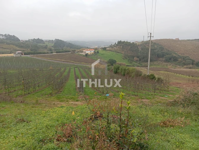 Terreno Agricola ou Rústico para Venda em Carvalhal Benfeito Foto 2