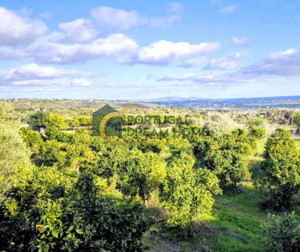 Terreno para Venda em Albufeira e Olhos de Água Foto 11
