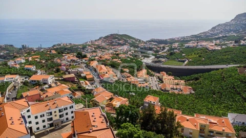 Moradia T3 para Venda em Camara de Lobos