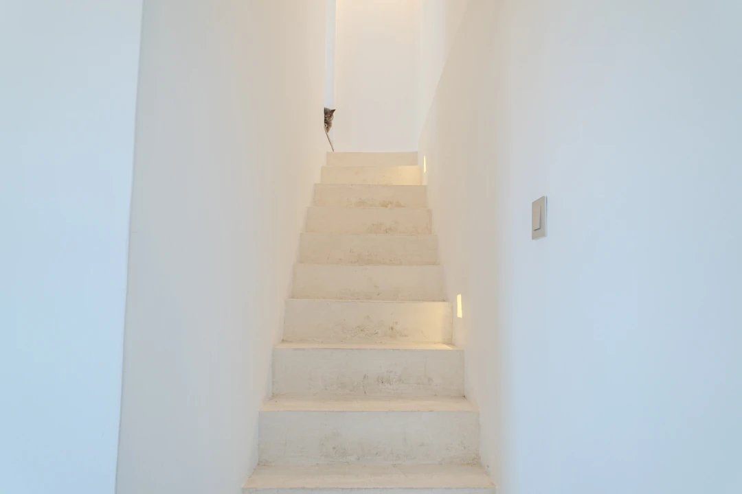 Apartamento T2 para Venda em Santa Maria Maior Foto 17