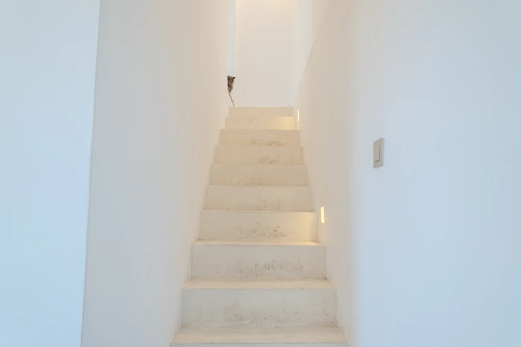 Apartamento T2 para Venda em Santa Maria Maior Foto 17