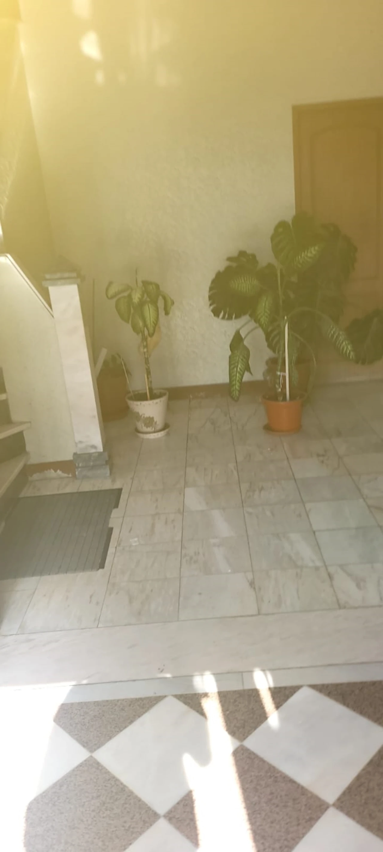 Apartamento T4 para Venda em Amora Foto 6