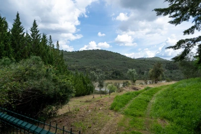 Terreno para Venda em Marmelete