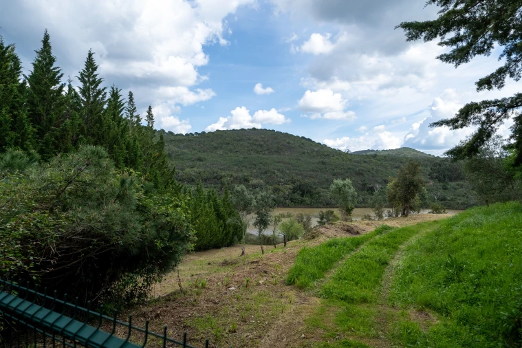 Terreno para Venda em Marmelete Foto 10