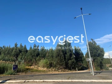 Terreno para Venda em Gaeiras