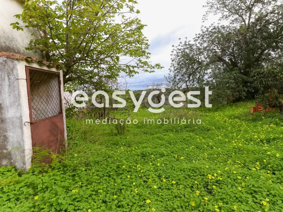 Terreno para Venda em Santa Catarina da Fonte do Bispo Foto 40