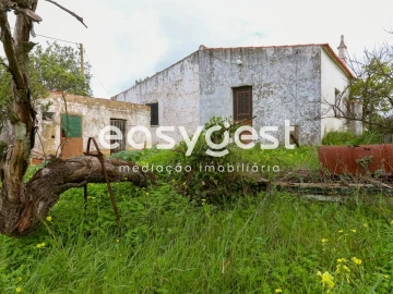Terreno para Venda em Santa Catarina da Fonte do Bispo