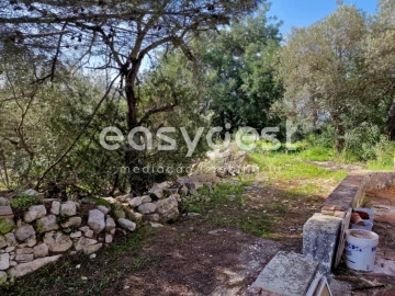 Quinta T3 para Venda em Moncarapacho e Fuseta