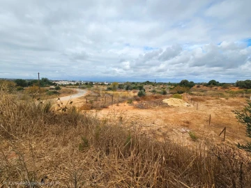 Terreno para Venda em Alcantarilha e Pêra