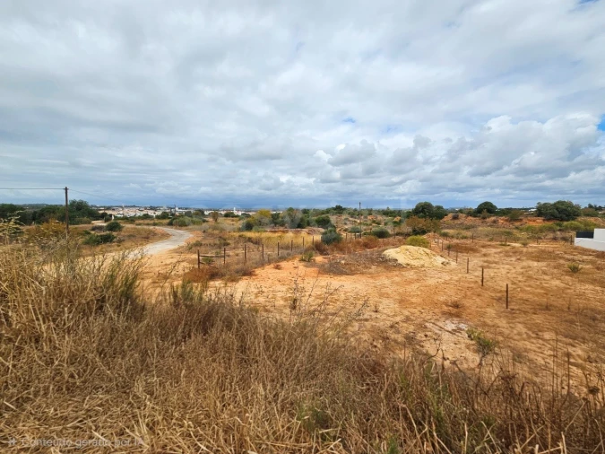Terreno para Venda em Alcantarilha e Pêra Foto 3