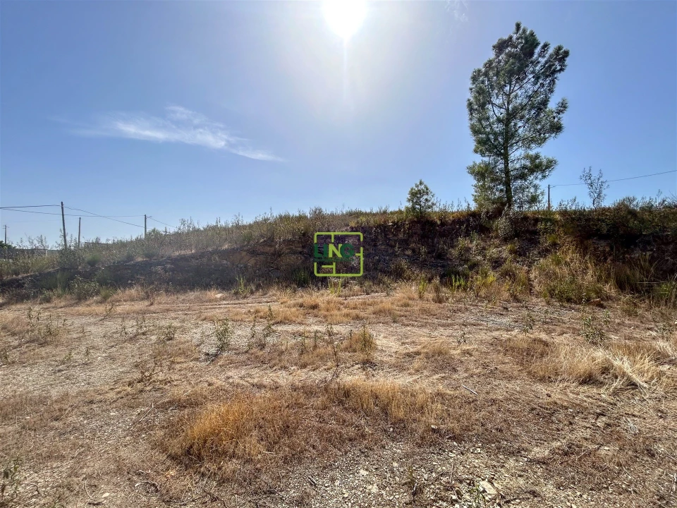 Terreno para Venda em Castelo Branco Foto 28