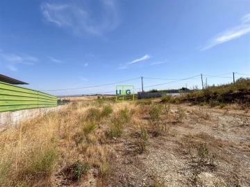 Terreno para Venda em Castelo Branco