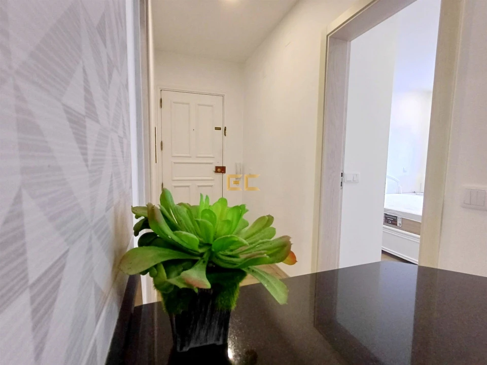 Apartamento T1 para Venda em Buarcos Foto 2