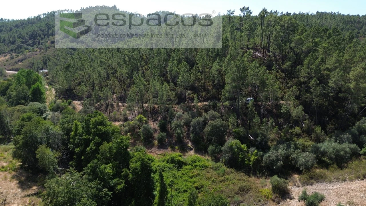 Terreno Agricola ou Rústico para Venda em Sarzedas Foto 1