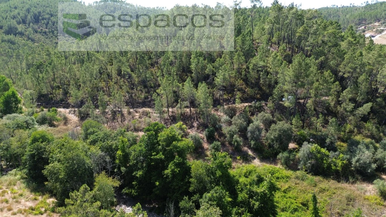 Terreno Agricola ou Rústico para Venda em Sarzedas Foto 2