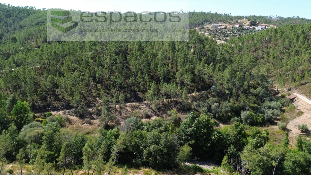 Terreno Agricola ou Rústico para Venda em Sarzedas Foto 3