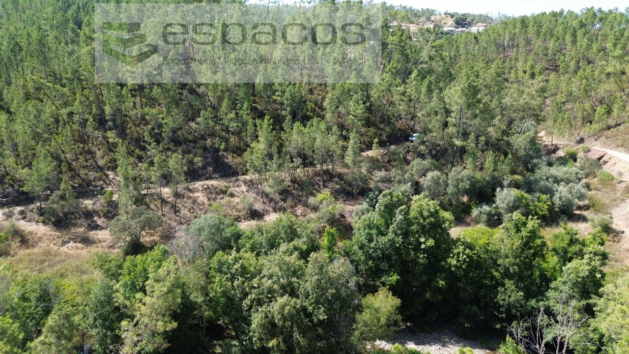 Terreno Agricola ou Rústico para Venda em Sarzedas Foto 4