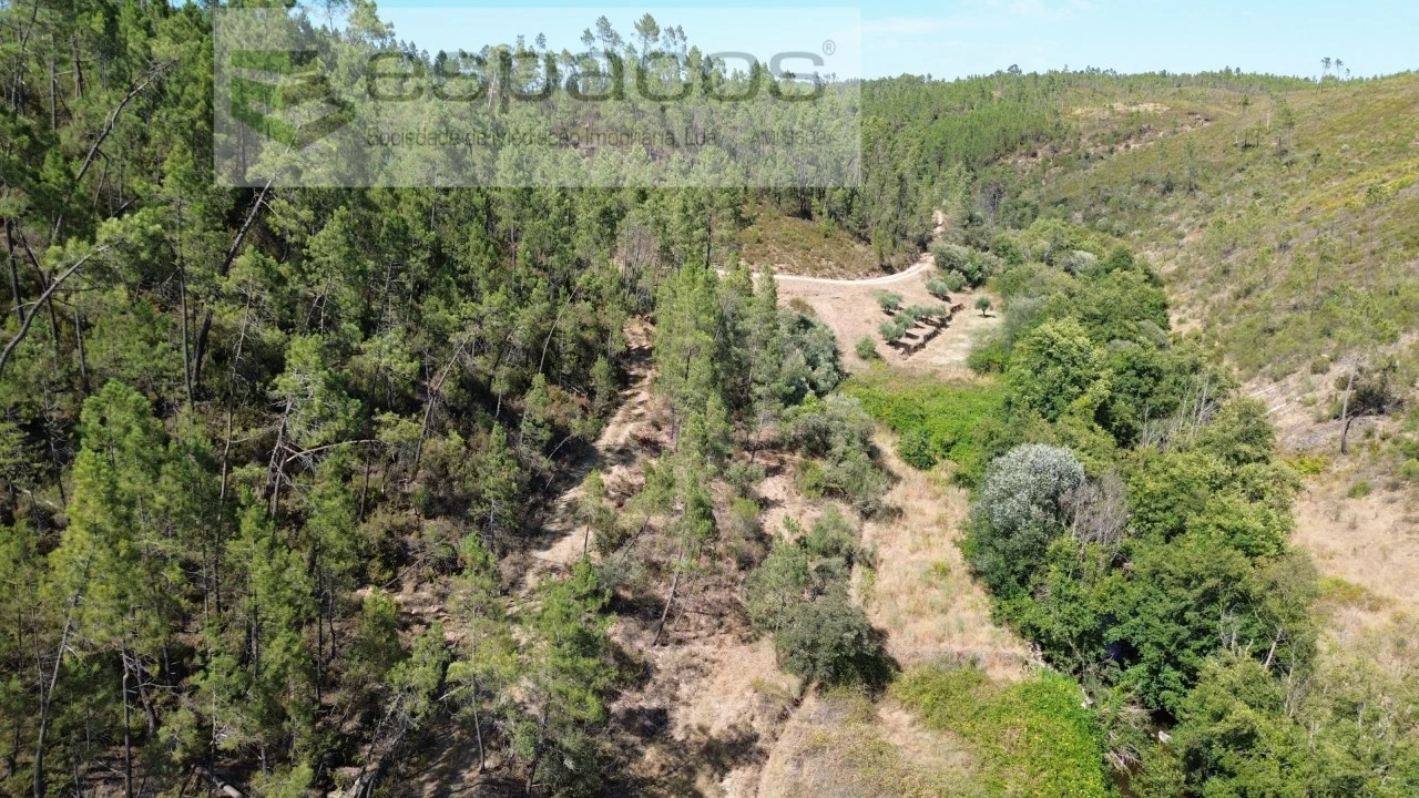 Terreno Agricola ou Rústico para Venda em Sarzedas Foto 5