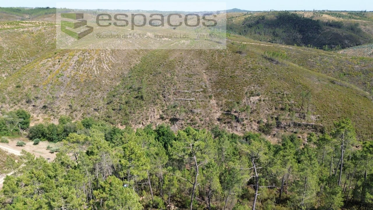 Terreno Agricola ou Rústico para Venda em Sarzedas Foto 6