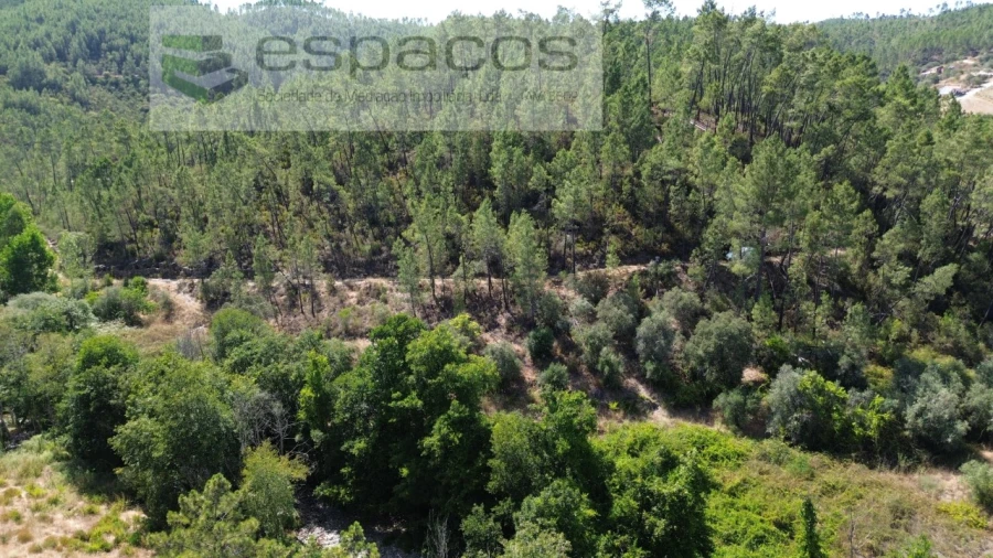 Terreno Agricola ou Rústico para Venda em Sarzedas Foto 2