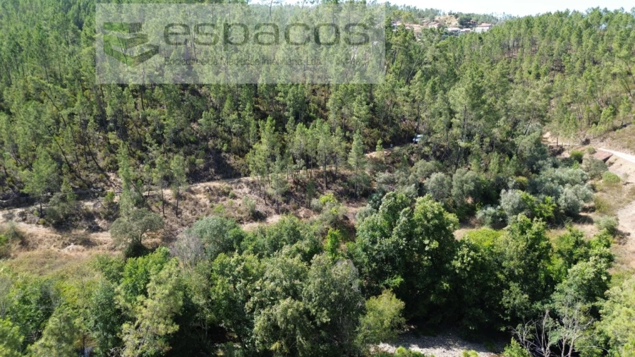 Terreno Agricola ou Rústico para Venda em Sarzedas Foto 4