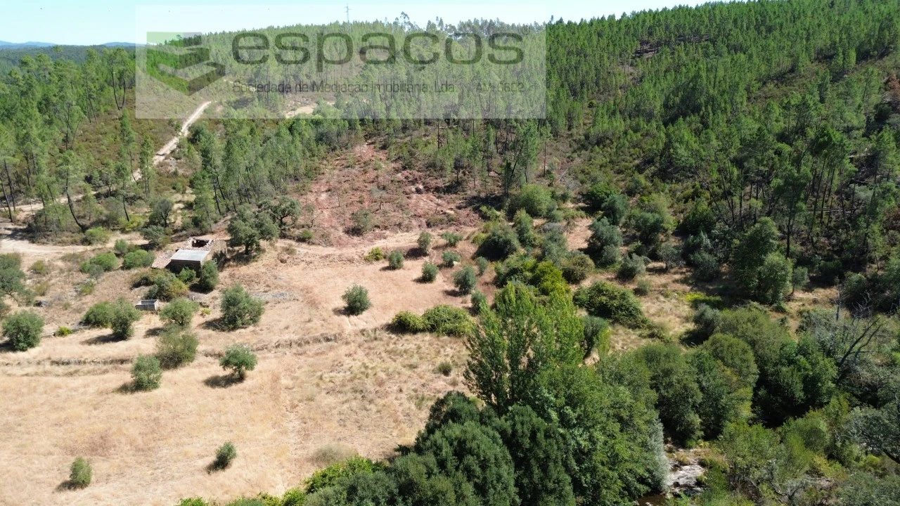 Terreno Agricola ou Rústico para Venda em Sarzedas Foto 2