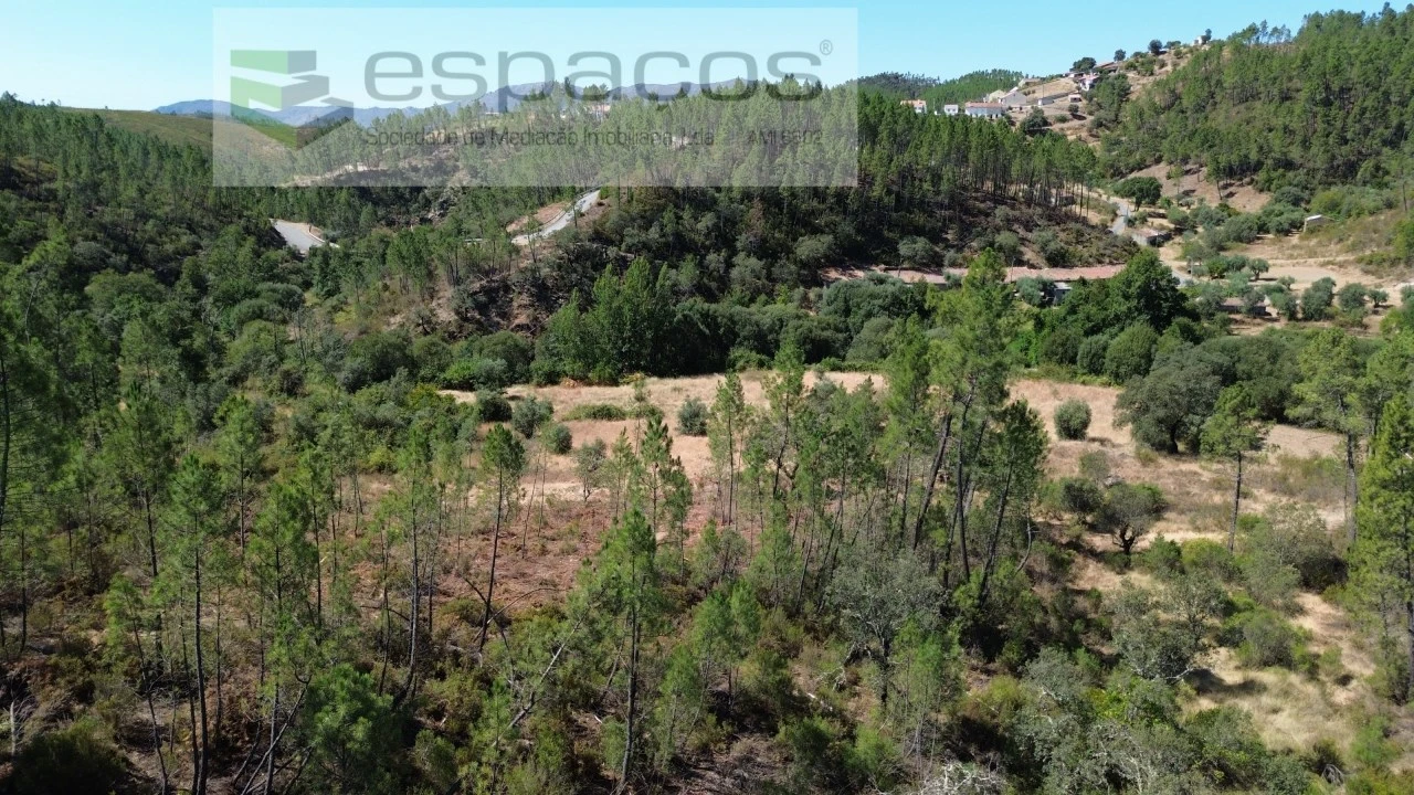 Terreno Agricola ou Rústico para Venda em Sarzedas Foto 3