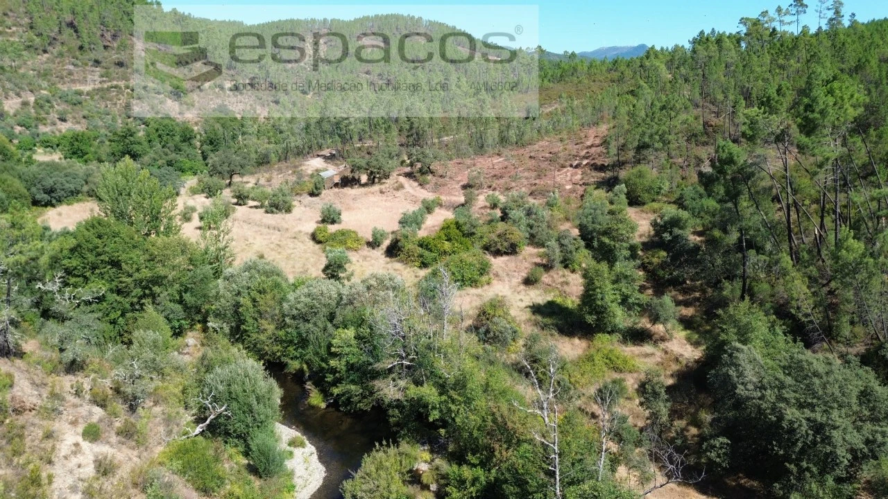 Terreno Agricola ou Rústico para Venda em Sarzedas Foto 4