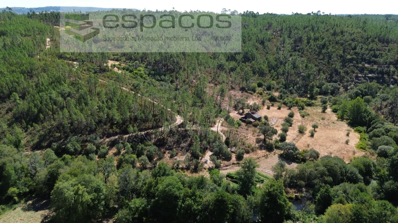 Terreno Agricola ou Rústico para Venda em Sarzedas Foto 5