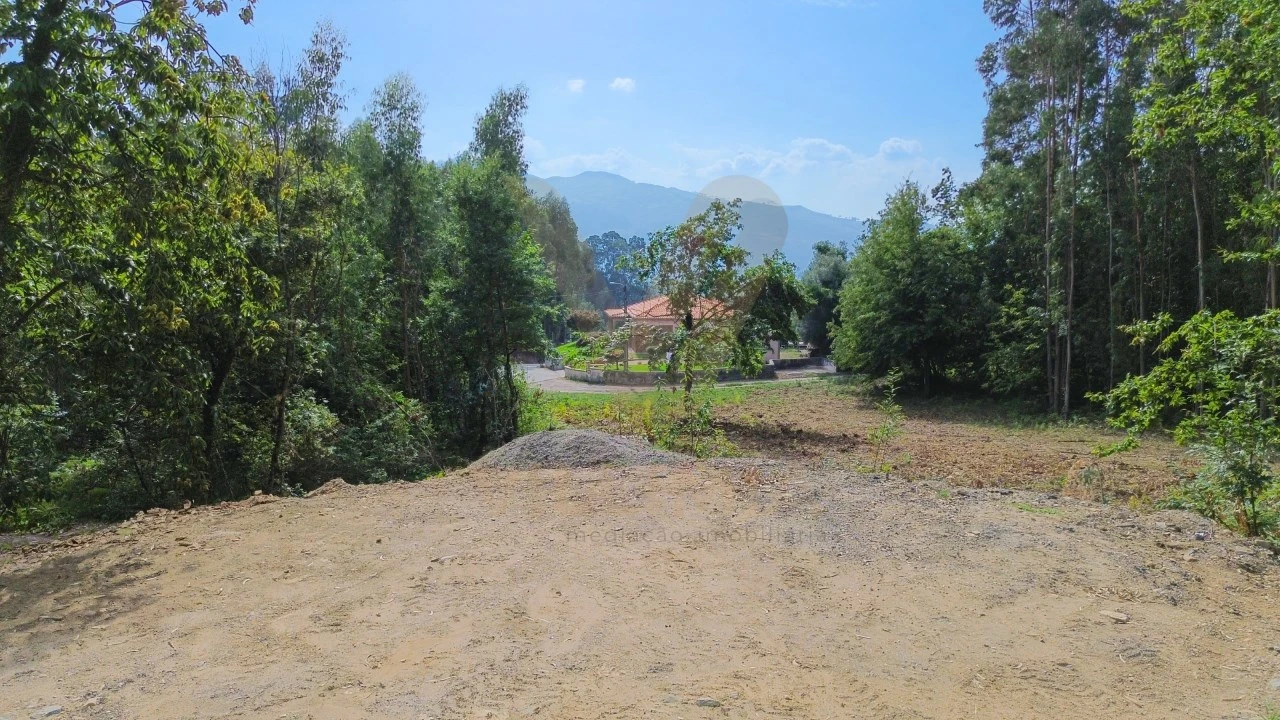Terreno para Venda em Fornelos e Queijada Foto 3