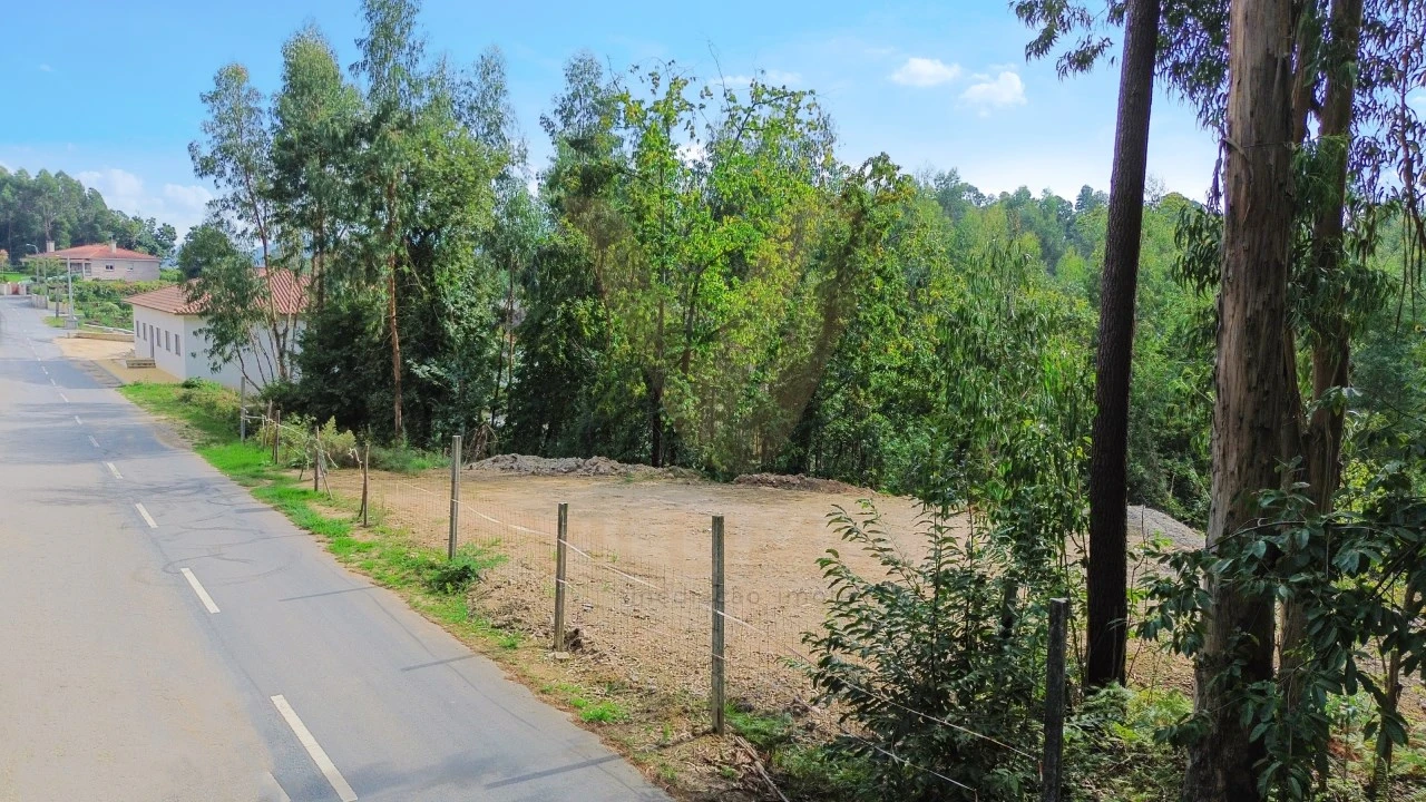 Terreno para Venda em Fornelos e Queijada Foto 4