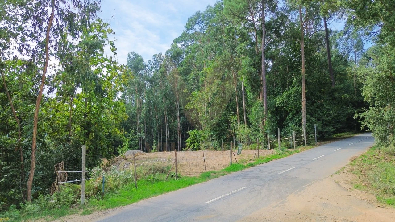 Terreno para Venda em Fornelos e Queijada Foto 5